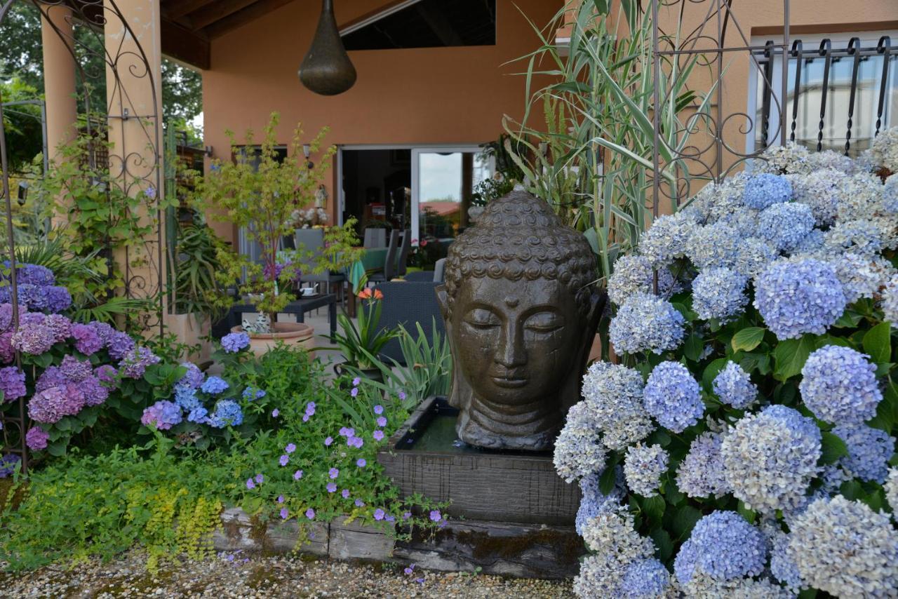 莱斯豪兹奥迪尼翁住宿加早餐旅馆 Audignon 外观 照片